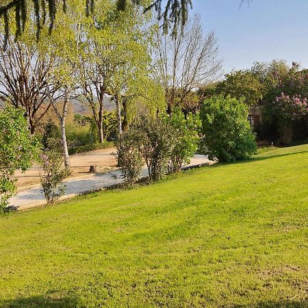 Marquay Chambres Et Table D'Hotes - Domaine De Bardenat المظهر الخارجي الصورة